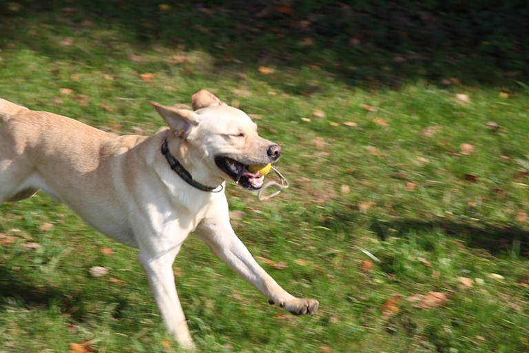 IMG 0632 Spielen web
