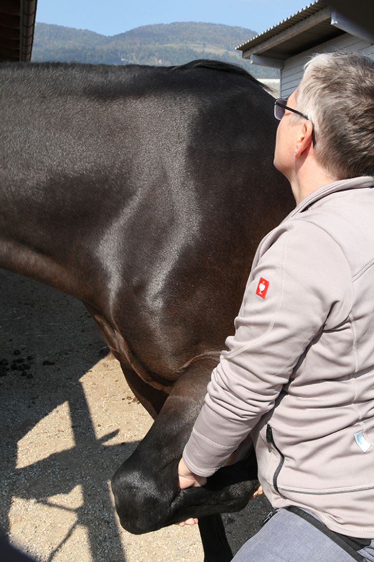 csm IMG 0283 web 24b76fbe68