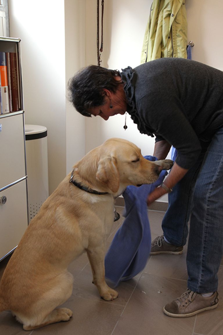 csm IMG 0718 Tipps web 109fc7799a