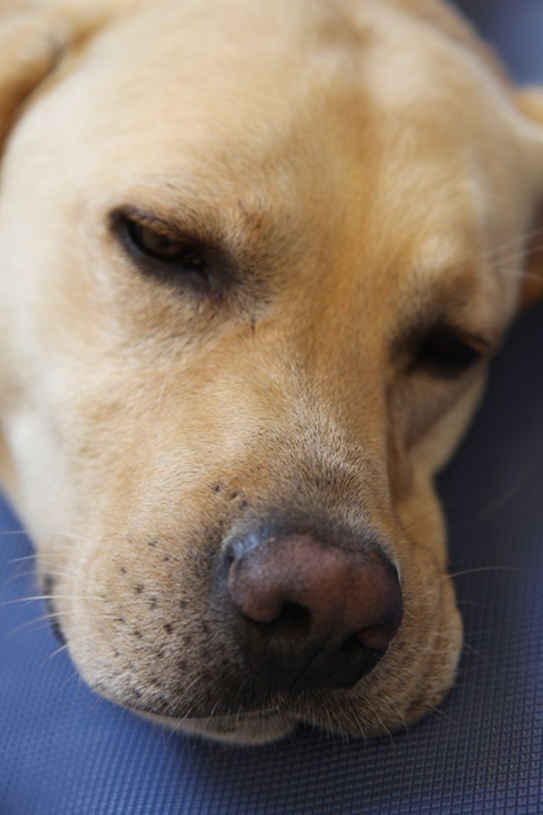 csm IMG 0744 web 0d7d1d6512